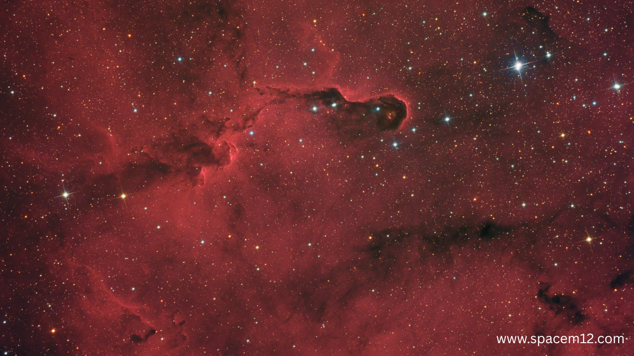 Elephant’s Trunk Nebula: Witness the Breathtaking Beauty
