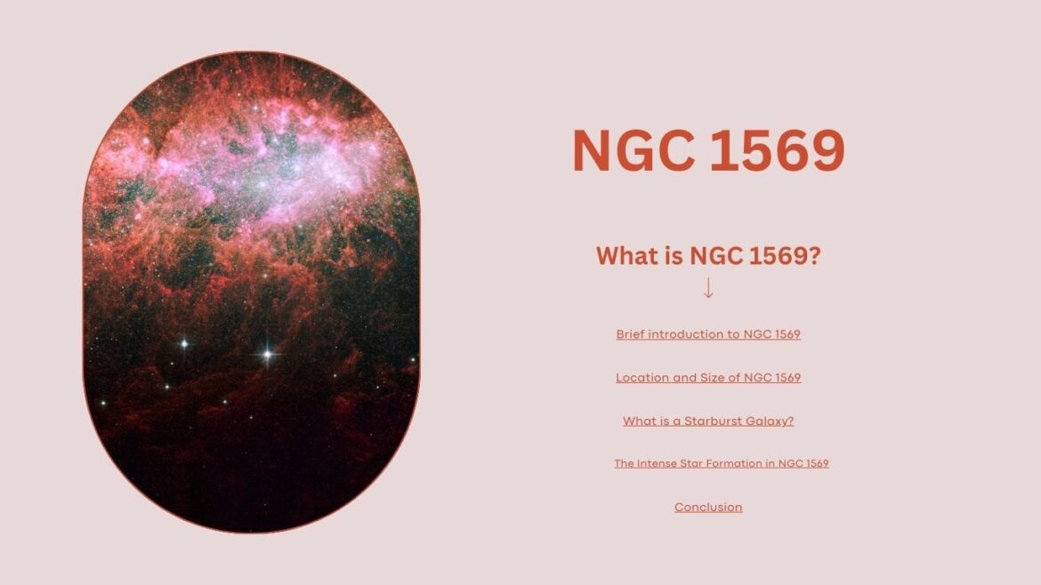 NGC 1569