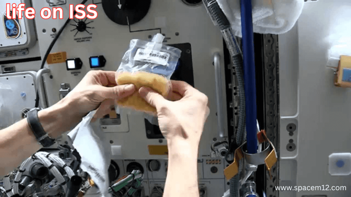 life on ISS