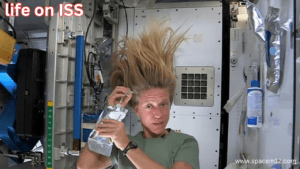 Life on ISS